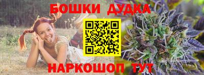 гидропоника Краснознаменск
