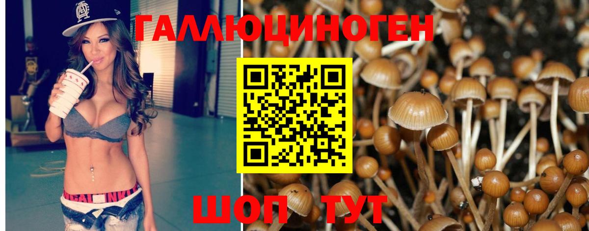 Бирск  Псилоцибиновые грибы Magic Shrooms  Галлюциногенные грибы мицелий  Вход с VPN 