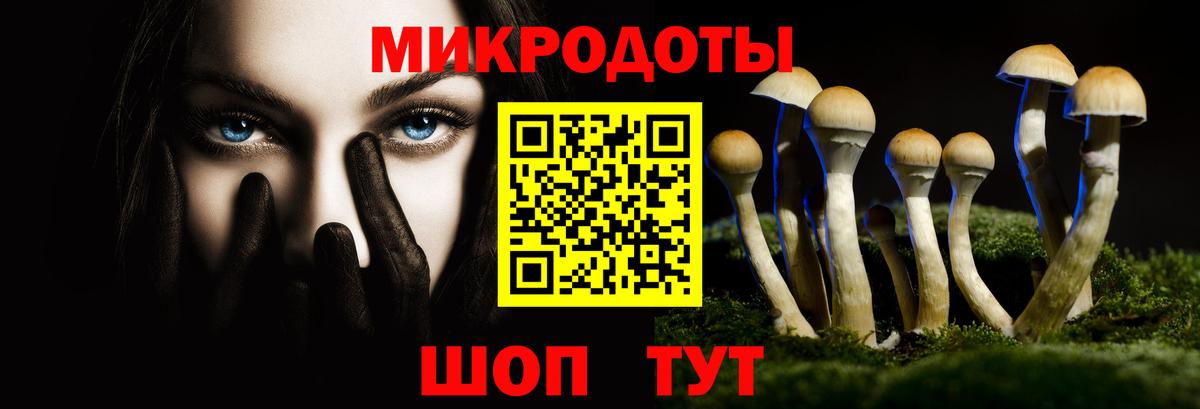 Псилоцибиновые грибы прущие грибы Бирск